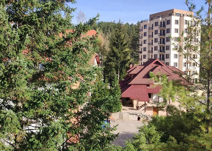 Stasa Apartment Zlatibor